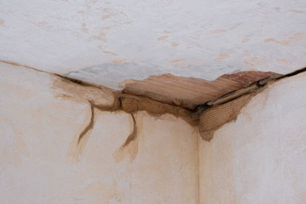 Best Basement water damage restoration  in Spruce Pine, NC