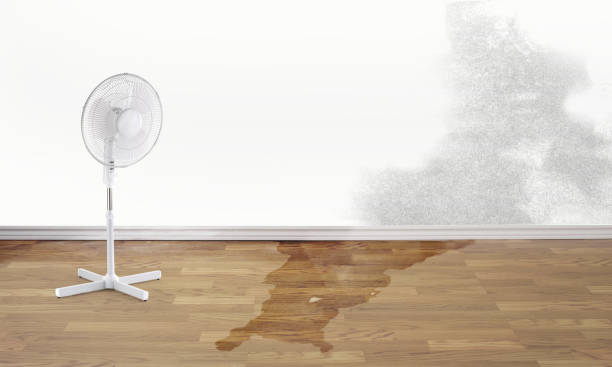 Best Fire Damage Restoration  in Spruce Pine, NC