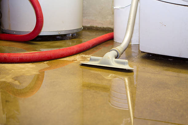 Best Commercial water damage restoration  in Spruce Pine, NC