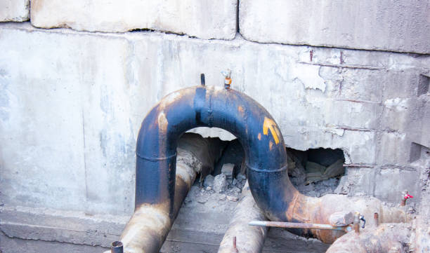 Best Carpet water damage restoration  in Spruce Pine, NC