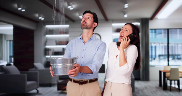Trusted Spruce Pine, NC Water damage restoration Experts