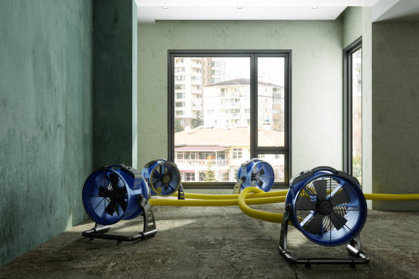Best Water damage contractors near me  in Spruce Pine, NC